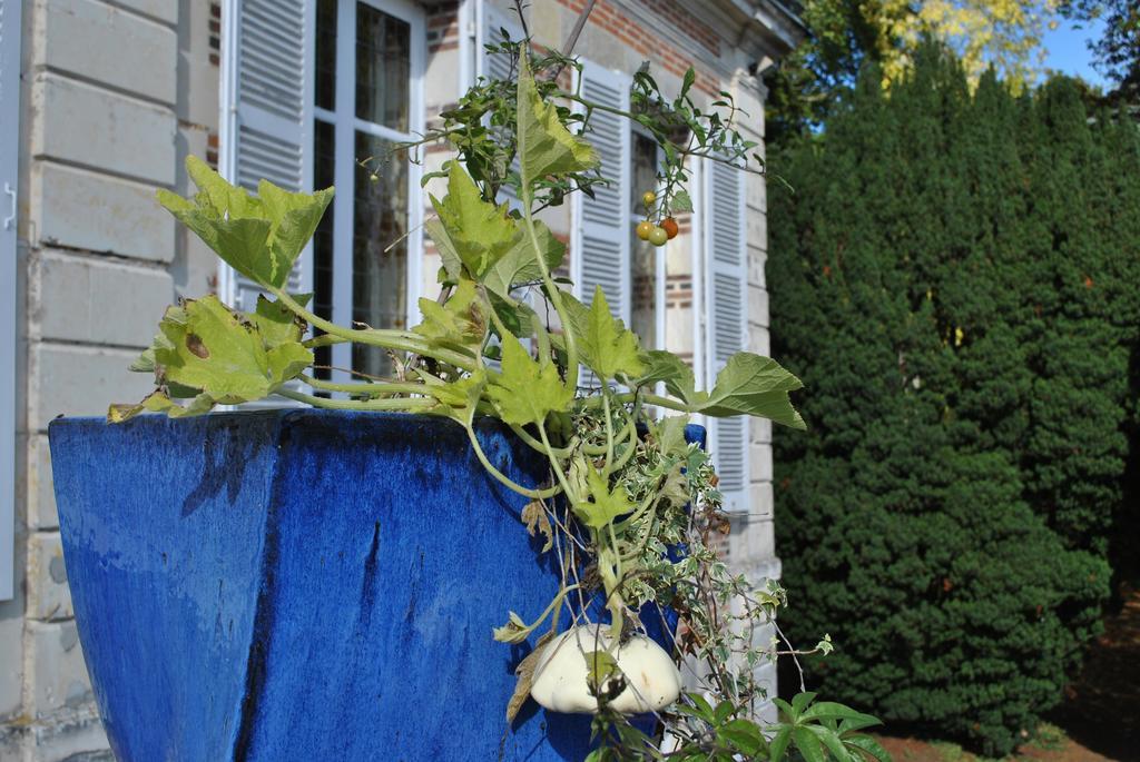 Eco-Gite - Domaine De La Gavolerie Besse-sur-Braye Exterior photo